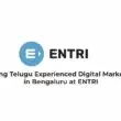 Hiring Telugu Experienced Digital Marketer in Bengaluru at ENTRI