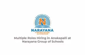 Multiple Roles Hiring in Anakapalli at Narayana Group of Schools
