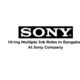 Hiring Multiple Job Roles In Bangalore At Sony Company 80x80