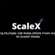 Hiring Multiple Job Roles (Work From Home) At ScaleX Media