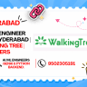 AI/ML Engineer Job Hyderabad | Walking Tree | Freshers