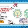 Death Certificate AP & Telangana 2026 – Apply Online
