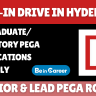 Perficient Walk-In Drive In Hyderabad For Senior & Lead PEGA