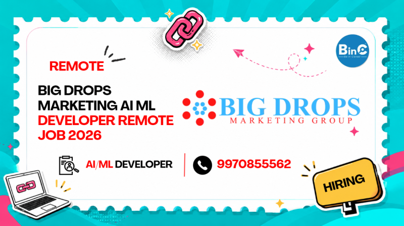 Big Drops Marketing AI ML Developer Remote Job 2026