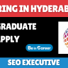 Kapil Technologies Hiring In Hyderabad For SEO Executive
